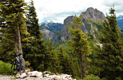 Breitenberg - 2,5-Zimmer Apartment mit Südbalkon und traumhaftem Bergblick ruhig gelegen in Pfronten Mitte - Foto 38