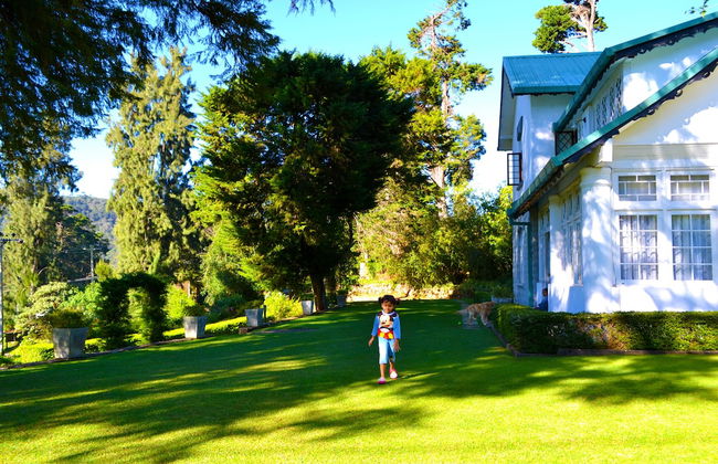 Brockenhurst Bungalow - Foto 17