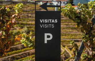 Quinta São Luiz The Vine House Douro - Foto 55