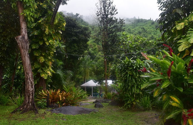 Casa Parcha - Photo 13