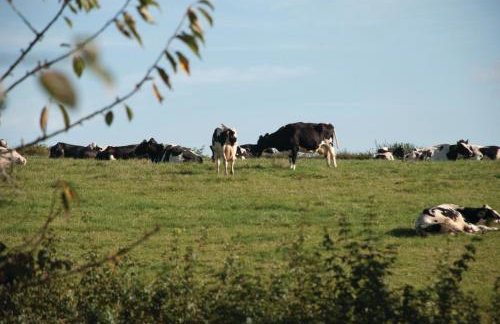 Bull Farm Studios - Foto 43