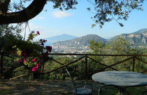 Gli Ulivi Agriturismo - Foto 20