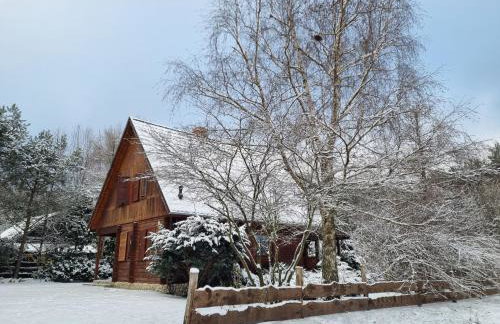 Sowa i Kumple - Foto 24