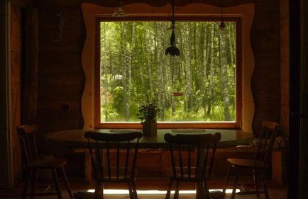 Biały Las Magiczna Stara Chata Puszcza Białowieska - Foto 19