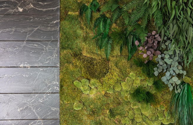 Villa Helios Dubrovnik - Foto 34