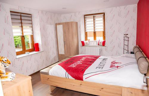 Gîte 4 à 10 Personnes avec sauna" La ferme des Sources" dans les Hautes Vosges - Foto 26