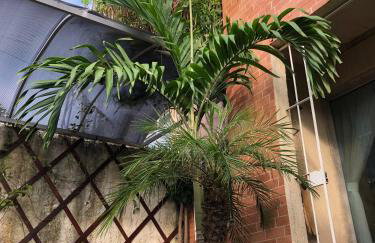 A Joia de Olinda - Foto 26