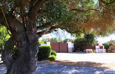 Vivienda Rural Los Madroños - Foto 20