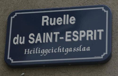 Gite duplex du vignoble Alsace - Foto 28