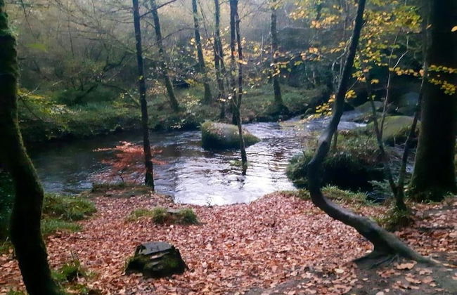 Cosy Holiday Home in Huelgoat With Terrace - Foto 31