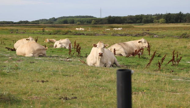 Cozy Holiday Home in Sæby near Sea - Foto 3