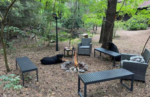 Leśna Chata Arciechów - Foto 26