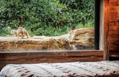 Pyrénées Prestige - Villas d'exceptions et hébergements insolites - Foto 34