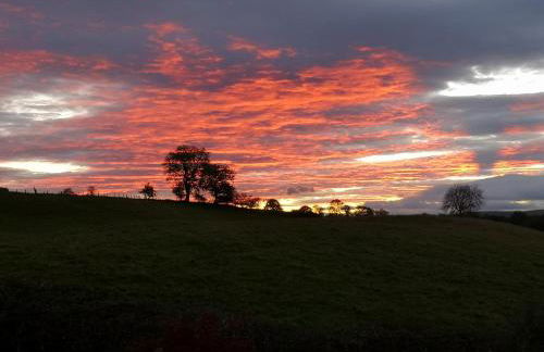 Claymires Bothy Cottage Nr Loch Lomond & Stirling - Photo 53