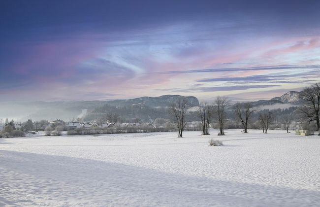 Bled Lake Apartment Red Rose - Foto 12