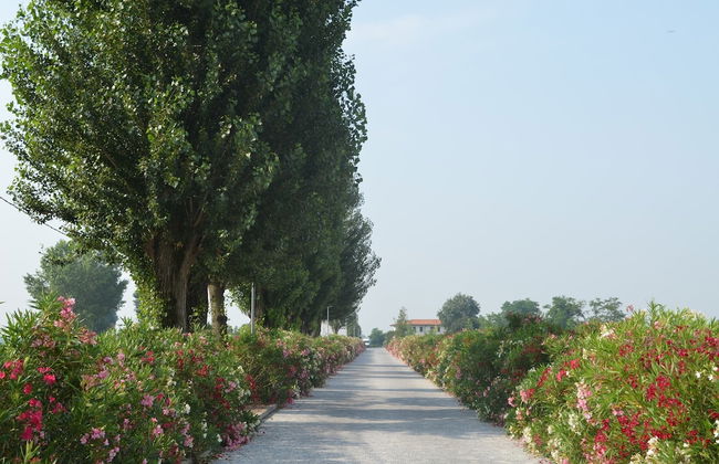 Characteristic Apartment in Codigoro With Pool - Foto 59