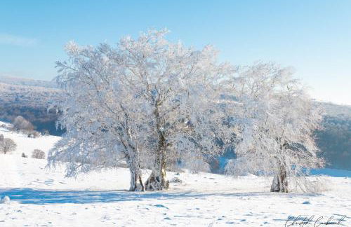 Buron de Léon, en plein cœur de l Aubrac - Photo 27