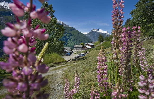 Westerås Gard - Photo 20