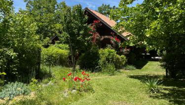 CicloPark Morano Calabro - Foto 2