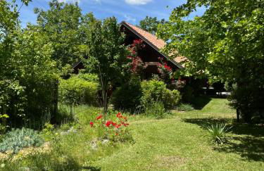 CicloPark Morano Calabro - Photo 2