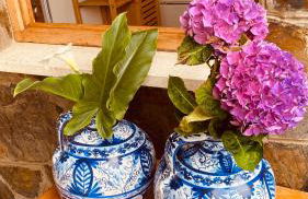 Mar y Montaña - "El Caleyo" - finca privada - Foto 14