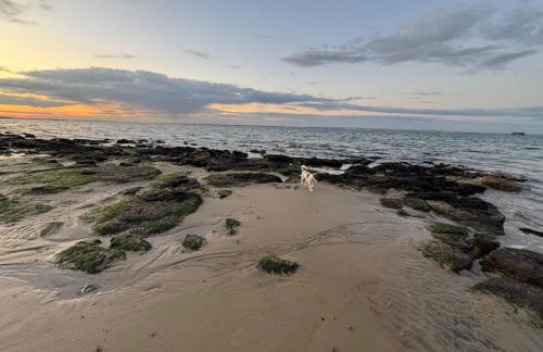 Tranquil Seabreeze - Photo 44