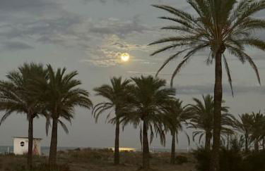 Relax en playa de l'Ahuir Gandia - Photo 33