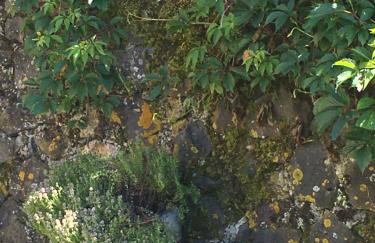LA CURE grande maison de charme de 2 a 14 personnes - Foto 9