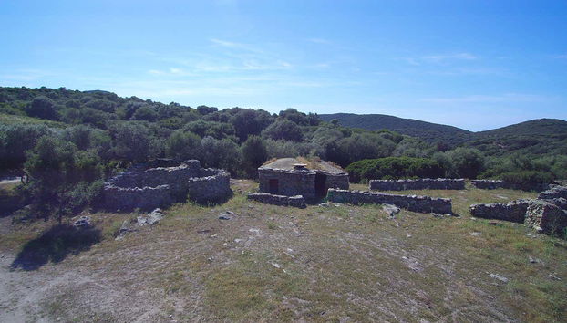 Giussani & Saleccia Beach Day Trip - Foto 5