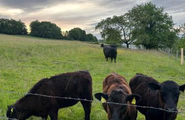 Gemütliche Ferienwohnung direkt am Wald - Foto 9