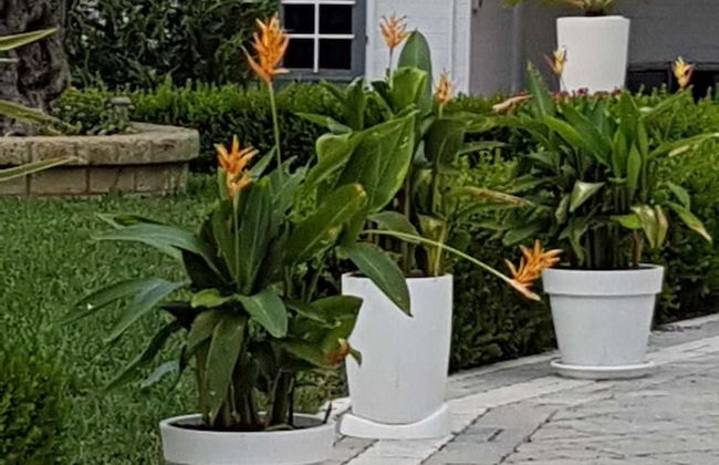 Residenza delle Grazie - Foto 29