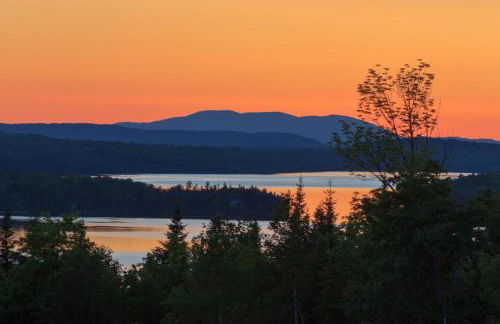 Moose Dance - Foto 7