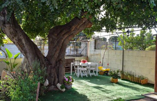 La Casa del Carrubo - Foto 21