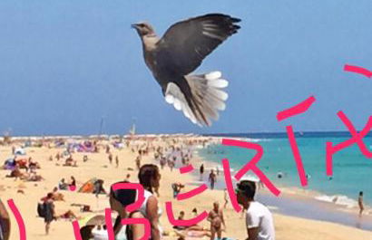 Il Paradiso Esiste - Foto 1