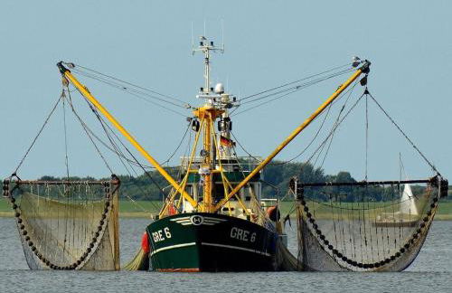 Alte Schule Tetenbüll - Foto 39