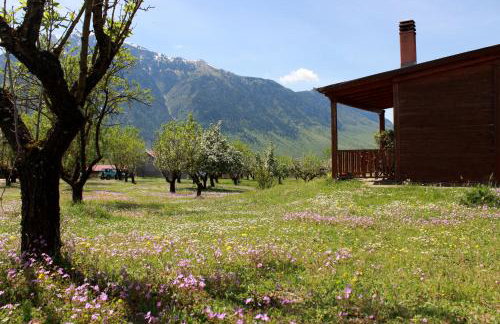 Villa Rustica - Photo 88