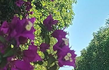 Casa rural frente al mar La Toscana - Foto 32