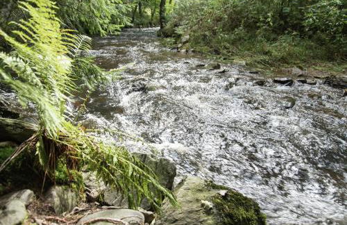 Grand Getaway in Deutschneudorf - Foto 40