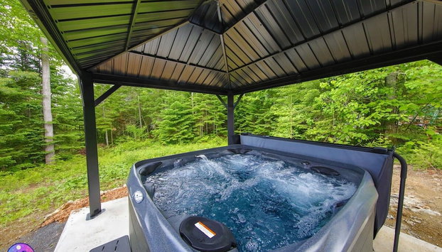 Sommet- Pet Friendly- Spa- SKI IN SKI OUT St-c me - Photo 2, Chambre