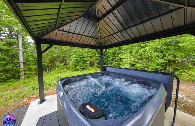 Sommet- Pet Friendly- Spa- SKI IN SKI OUT St-c me - Foto 2