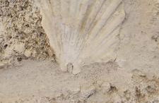 Le case di Roberto - Foto 19