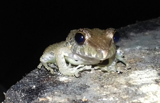 Villas Octogoña - Foto 31