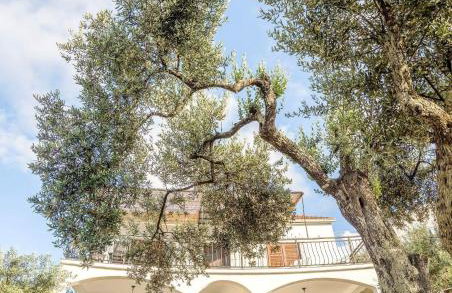 Apartmani Vlahušić - Photo 49