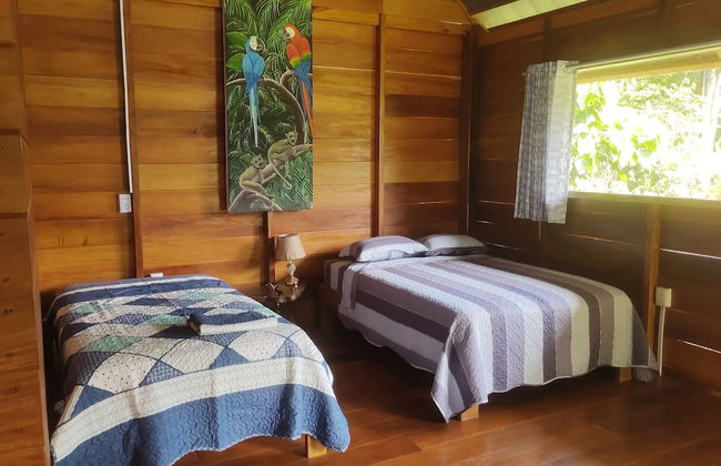 Quirquincho House - Foto 5