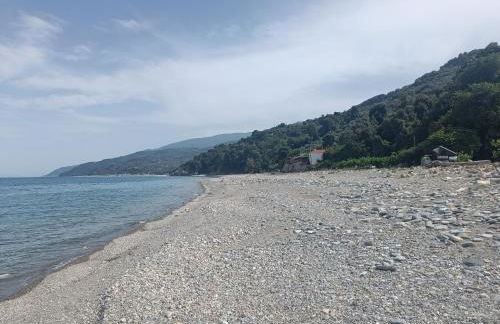 Lemongarden by the sea - Foto 23