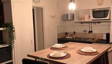 T1 en face de la Timone - Foto 5