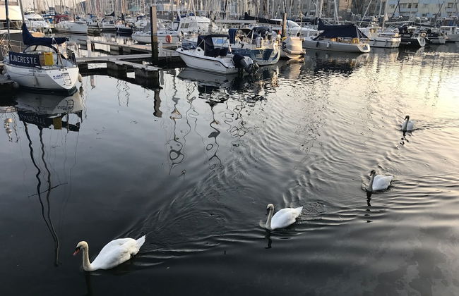 Freemans Wharf - Foto 32