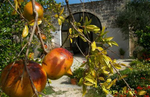 Masseria Lacco - Foto 33