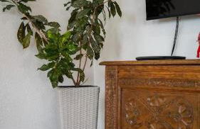 Ferienwohnung Trendelmühle Lautrach - Foto 15