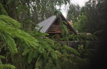 Rajskie Pluski Slow Life nad jeziorem - Photo 14